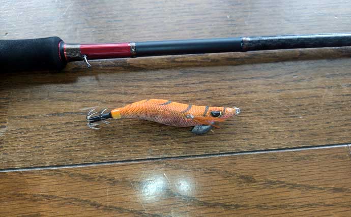 初心者同行のエギング釣行でアテンドに大苦戦【福井】風裏＆明るさの必要性を痛感