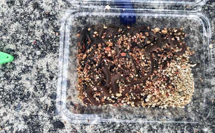 ファミリー向け釣り場でハゼが連発！　秋深まれば大型狙いのチャンス