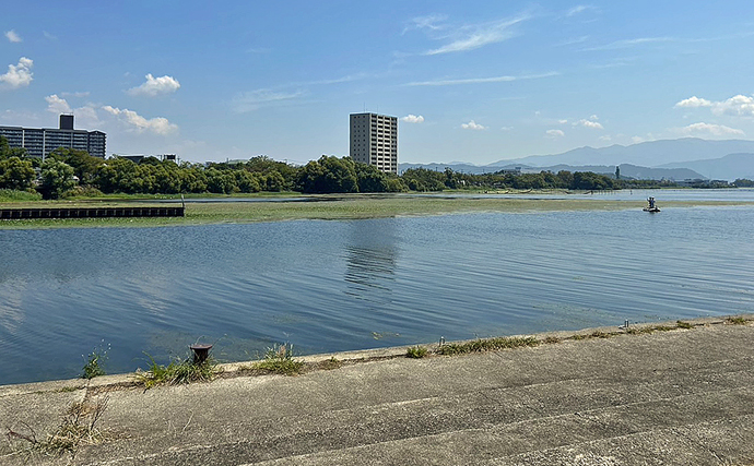 小学6年生が琵琶湖での陸っぱりバス釣りに挑戦！ソフトベイトで本命バス連打成功！