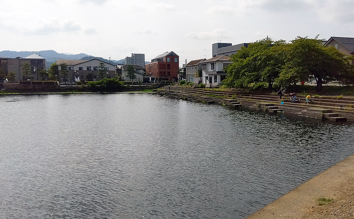 小学6年生が琵琶湖での陸っぱりバス釣りに挑戦！ソフトベイトで本命バス連打成功！