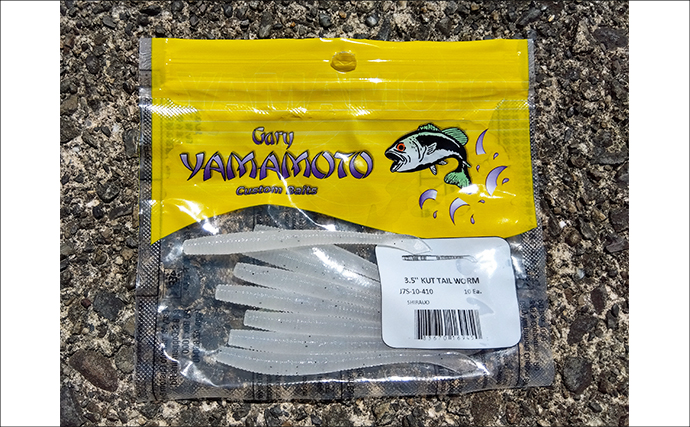 小学6年生が琵琶湖での陸っぱりバス釣りに挑戦！ソフトベイトで本命バス連打成功！