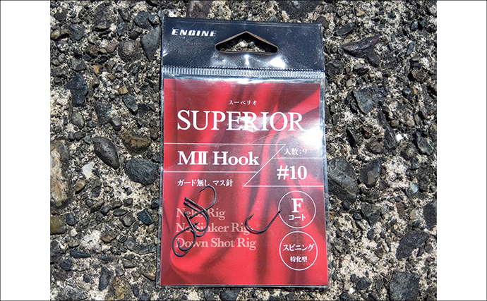 小学6年生が琵琶湖での陸っぱりバス釣りに挑戦！ソフトベイトで本命バス連打成功！