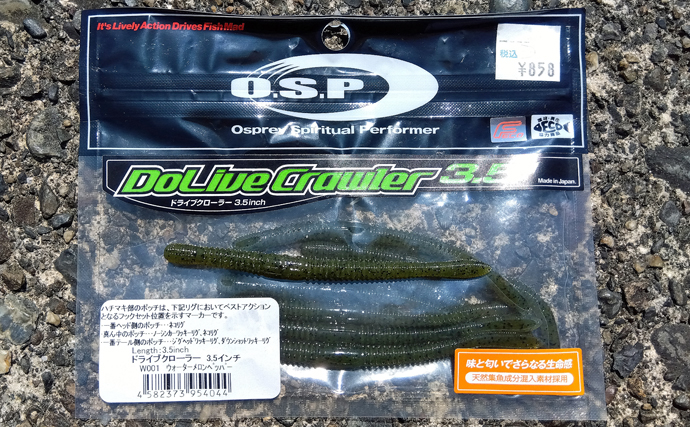 小学6年生が琵琶湖での陸っぱりバス釣りに挑戦！ソフトベイトで本命バス連打成功！