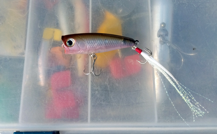 小学6年生が琵琶湖での陸っぱりバス釣りに挑戦！ソフトベイトで本命バス連打成功！