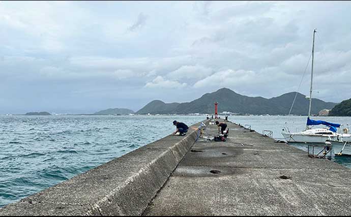 「普段と違うが楽しい！」沼津遠征釣行でワカシ2桁釣果【静岡】遠投カゴ釣りで手中