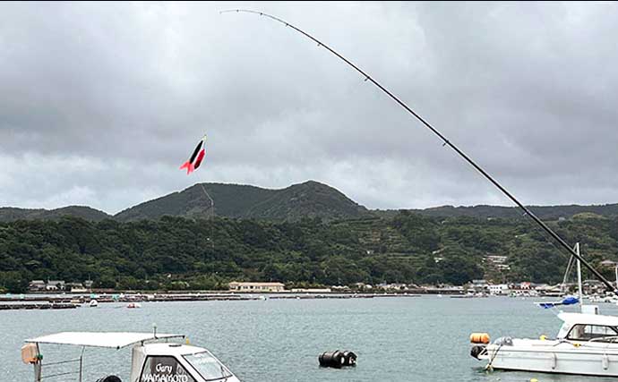 「普段と違うが楽しい！」沼津遠征釣行でワカシ2桁釣果【静岡】遠投カゴ釣りで手中