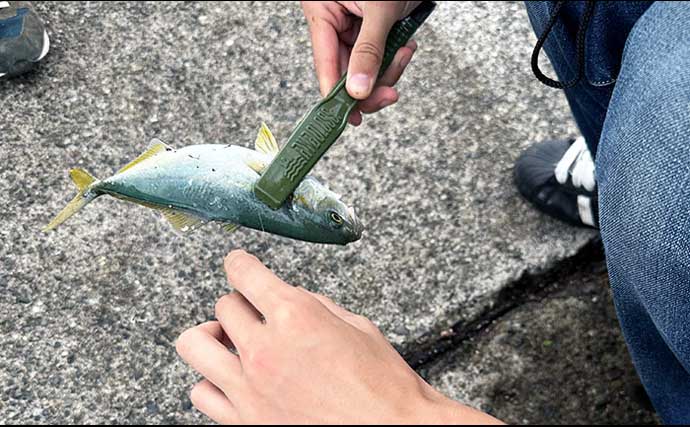 「普段と違うが楽しい！」沼津遠征釣行でワカシ2桁釣果【静岡】遠投カゴ釣りで手中