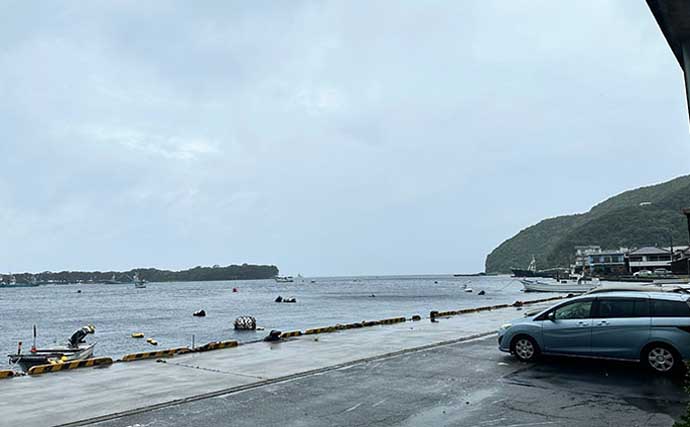 「普段と違うが楽しい！」沼津遠征釣行でワカシ2桁釣果【静岡】遠投カゴ釣りで手中