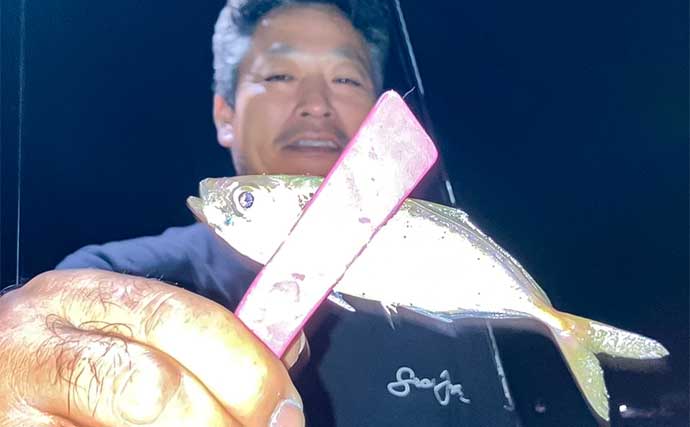 紀伊長島エリアのナイトアジングで豆アジをキャッチ！【三重】常夜灯周りで連続ヒット