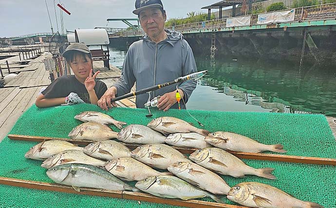 「マダイ14匹に青物も！」海上釣り堀でのファミリーフィッシングで大漁【和歌山・雑賀崎シーパーク】