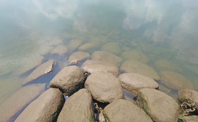 「18cmテナガエビも登場！」木曽川の親子釣行でテナガエビ38匹＆マハゼ40匹手中【愛知】