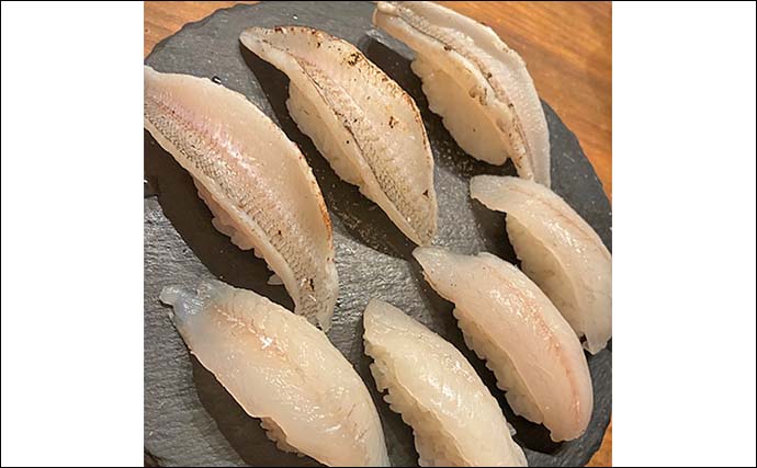 「22.5cmのデカキス好捕！」宇土マリーナ＆松島のちょい投げキス釣りで26尾キャッチ【熊本】