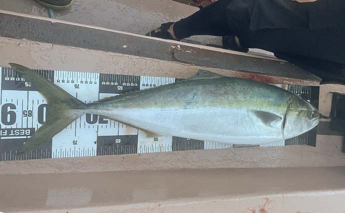 「ブリ90cm浮上！」南知多沖ジギング船でイナダ入れ食い＆マダイ47cmも【愛知】