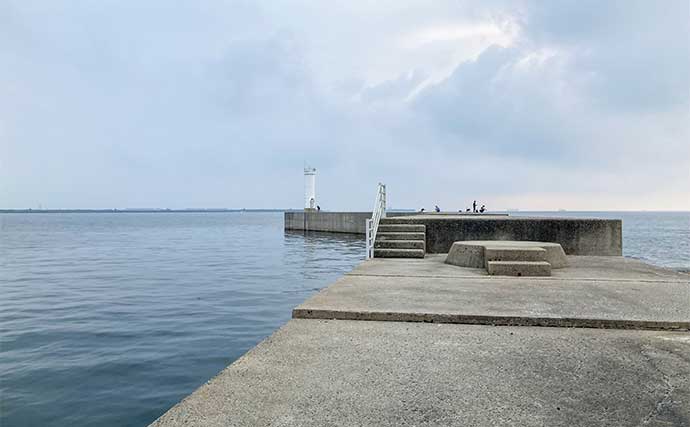 磯津漁港の投げ釣りで21cm良型含むシロギス35匹キャッチ【三重】多彩なゲストで五目も達成