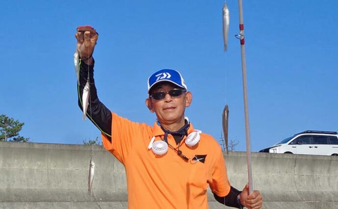「陸っぱりでシロギス123匹！」大淀海岸の投げキス釣りで最大17cm含む束釣り達成【三重】