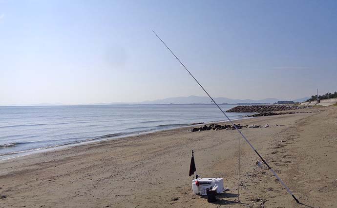 「陸っぱりでシロギス123匹！」大淀海岸の投げキス釣りで最大17cm含む束釣り達成【三重】