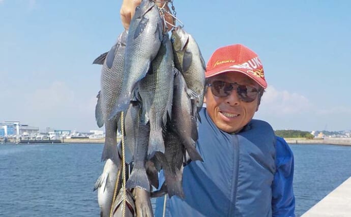 常滑港のウキダンゴ釣りでグレ30cm級を筆頭に連発！【愛知】本命クロダイは不発