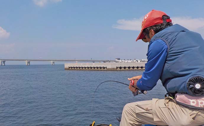 常滑港のウキダンゴ釣りでグレ30cm級を筆頭に連発！【愛知】本命クロダイは不発