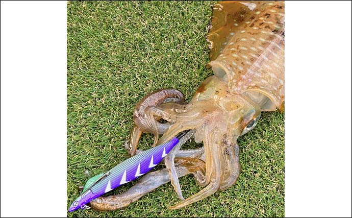 船長直伝！志摩沖ティップランエギング攻略法【三重】秋冬のタックル選びと釣り方の極意