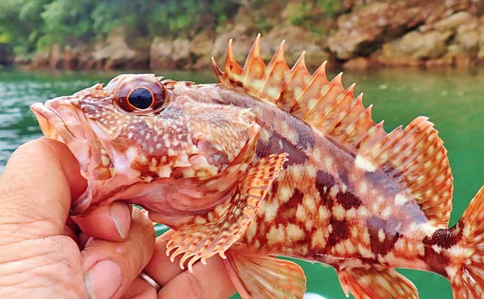 「使用ルアーは5gメタルジグのみ！」古和浦のSUPライトゲームで7魚種30匹キャッチ【三重】