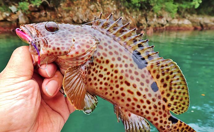 「使用ルアーは5gメタルジグのみ！」古和浦のSUPライトゲームで7魚種30匹キャッチ【三重】