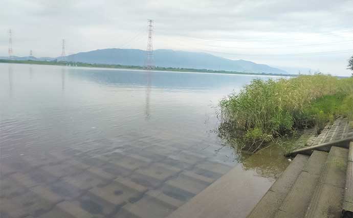 木曽川のチョイ投げ釣りでハゼ30匹をキャッチ！【愛知】ゲストにセイゴやヒイラギも登場