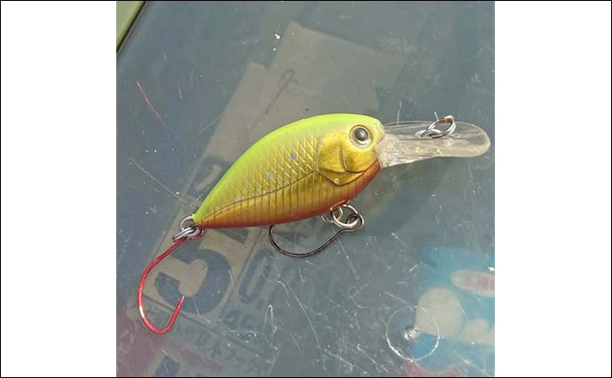 秋の長島川で挑む短時間ハゼクラ釣行【三重】婚姻色のハゼがリアクションでヒット！