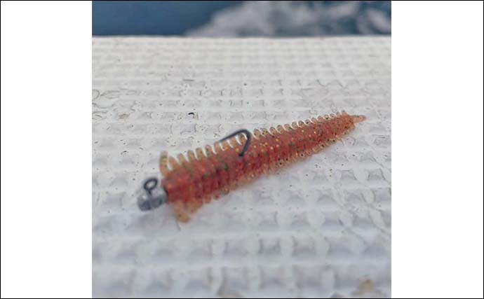 「アジもイカも高確率ヒット！」イカメタル＆バチコンリレー便でアカイカと30cm級アジ連発【三重】