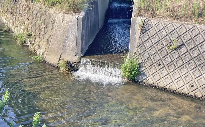 「カワムツ釣るのにトップウォータープラグ？」実際にやってみたら大成功！【三重】