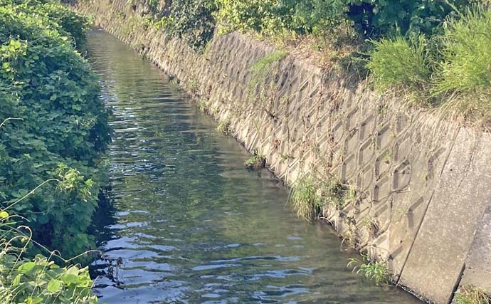 「カワムツ釣るのにトップウォータープラグ？」実際にやってみたら大成功！【三重】