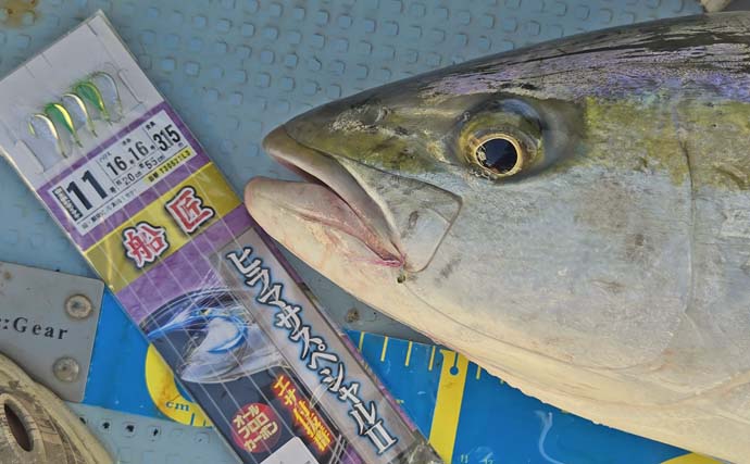 シーズン初の船落とし込み釣りで8kg級ヒラマサを手中【佐賀】微風快晴の好条件で大型ヒット