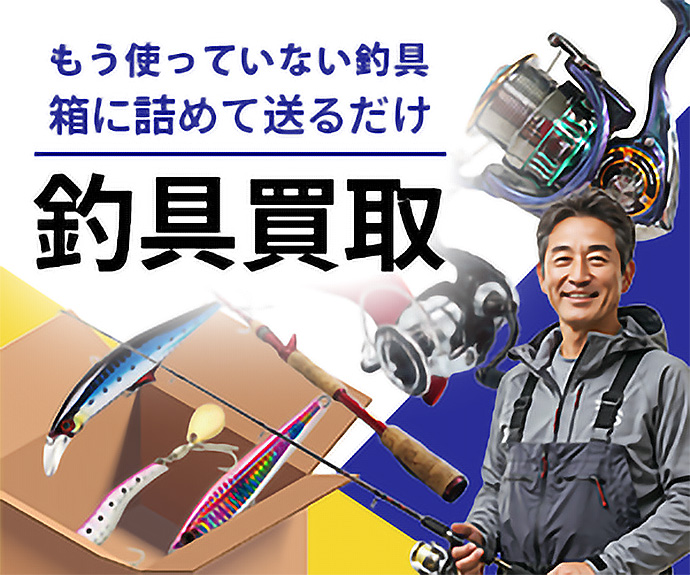 フィッシングコレクト