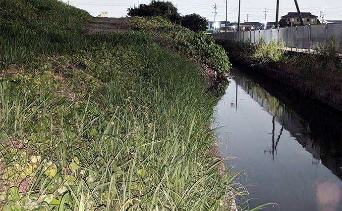 「バフッと炸裂バイト！」蟹江川のトップウォーターゲームで40cmナマズを手中【愛知】