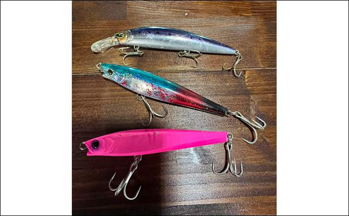 オフショアキャスティングで11kg良型ブリ浮上！【熊本・天草】シンペンで表層狙い撃ち