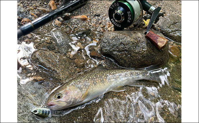 「夜にフラッシュはダメ？」釣った魚を美しく残すスマホ写真撮影方法を徹底解説