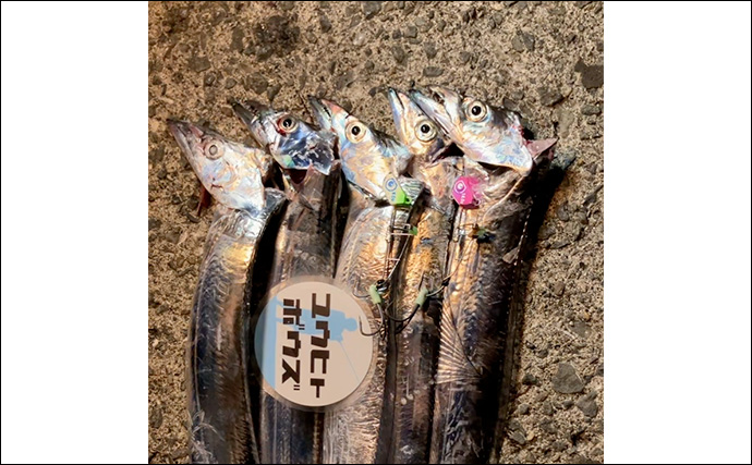 波止での遠投でタチウオ4本をキャッチ【大阪湾】テンヤ遠投＆速攻アクションが的中！