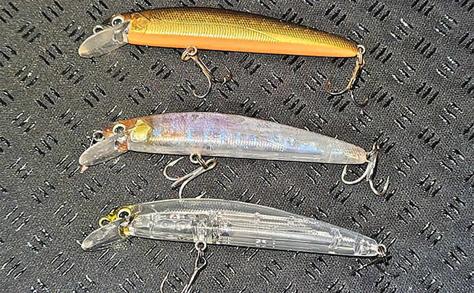 良型ボラがルアーに好反応！【千葉・村田川】派手なカラー＆トリッキーなアクションが吉