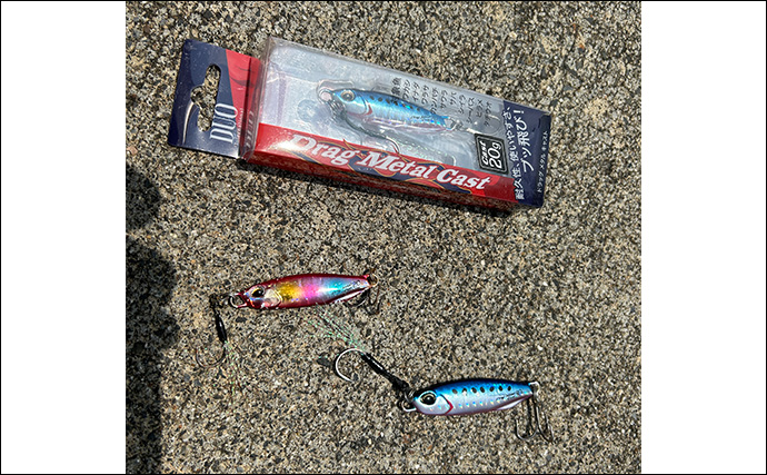 「ジグサビキしか勝たん！」堤防ライトショアジギングでショゴにツバス【福井・茂原人工海水浴場】