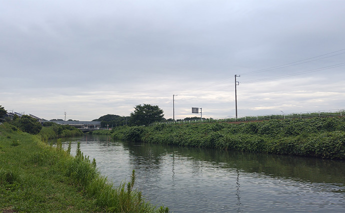 良型ボラがルアーに好反応！【千葉・村田川】派手なカラー＆トリッキーなアクションが吉