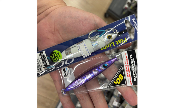 【陸っぱりルアータチウオ釣り】初心者向け攻略法　マヅメ時はワインドとジグの使い分けが肝！