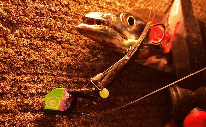 波止での遠投でタチウオ4本をキャッチ【大阪湾】テンヤ遠投＆速攻アクションが的中！