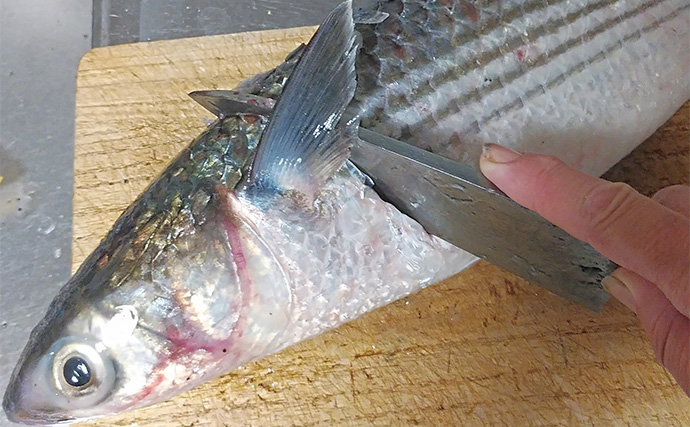 釣った魚で作る「あるでお肉？」レシピ：ボラのスパイシー焼き　しっかり焼きがおすすめ
