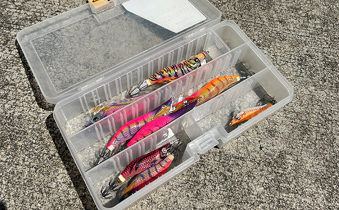 「ジグサビキしか勝たん！」堤防ライトショアジギングでショゴにツバス【福井・茂原人工海水浴場】