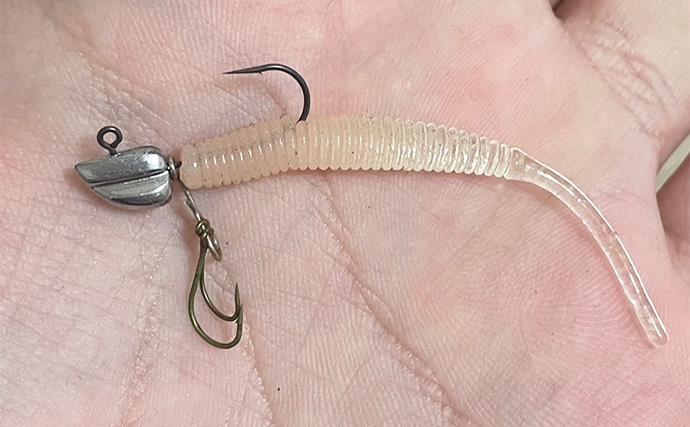 秋に沿岸に現れるサヨリはルアーで釣れるのか？ 食わすより引っ掛けるが正解か