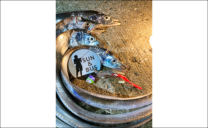 波止での遠投でタチウオ4本をキャッチ【大阪湾】テンヤ遠投＆速攻アクションが的中！