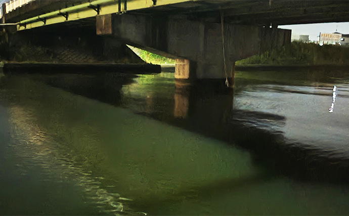 良型ボラがルアーに好反応！【千葉・村田川】派手なカラー＆トリッキーなアクションが吉