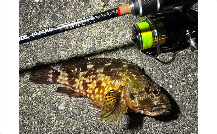 「夜にフラッシュはダメ？」釣った魚を美しく残すスマホ写真撮影方法を徹底解説