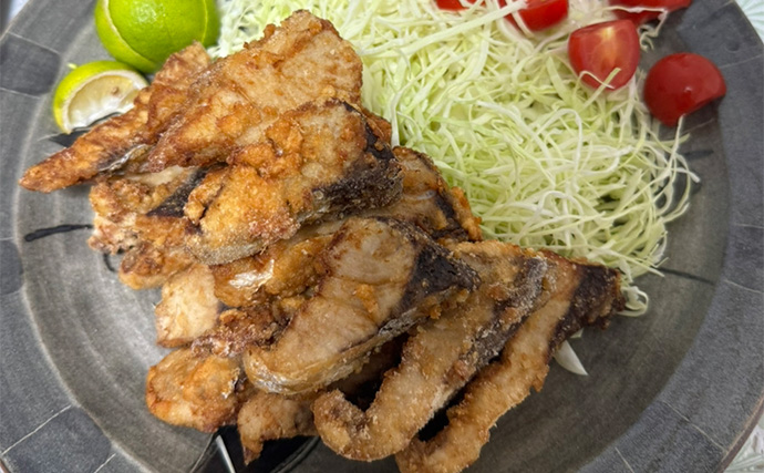 オフショアキャスティングで11kg良型ブリ浮上！【熊本・天草】シンペンで表層狙い撃ち