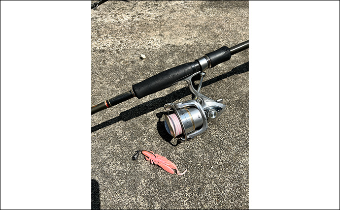 「ジグサビキしか勝たん！」堤防ライトショアジギングでショゴにツバス【福井・茂原人工海水浴場】