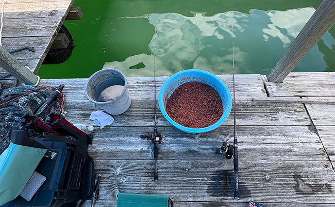 「メーター超えのアカメがヒット！」筏での泳がせ釣りでアカメを狙ってみた【高知】